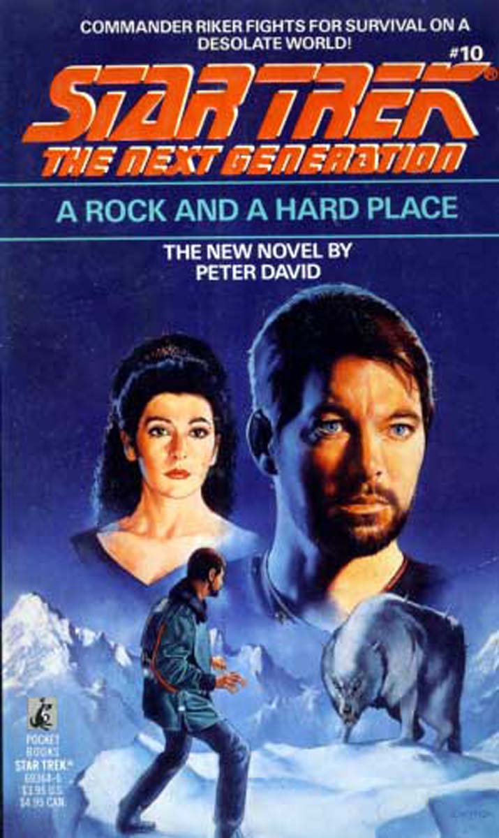 A ROCK AND A HARD PLACE:STAR TREK NEXT GENERATION #10 (Star Trek Next Generation (Numbered))