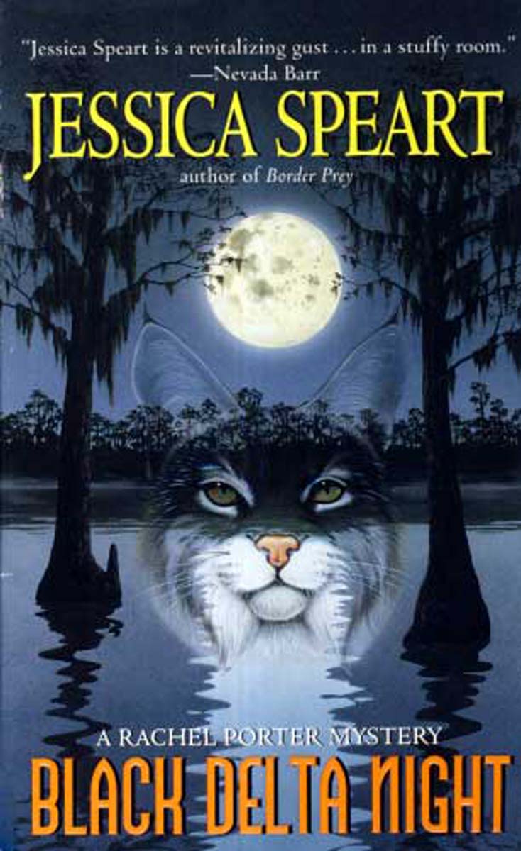 Black Delta Night: A Rachel Porter Mystery 