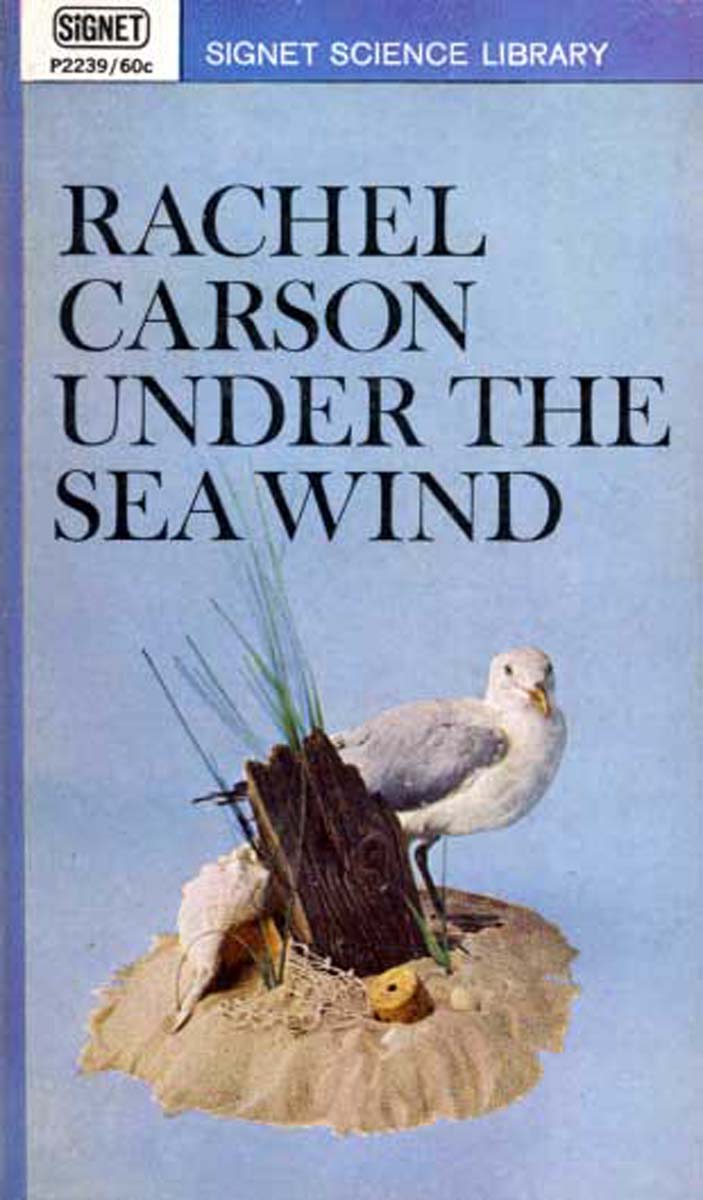Under the Sea Wind